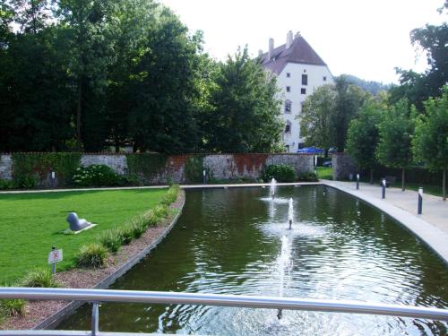a pond in a park with two swans in it at Ferienwohnung Örtl 7 in Obernzell