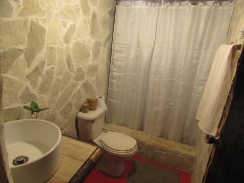 a bathroom with a white toilet and a sink at Arroyo Frío River Lodge in Arroyo Frío