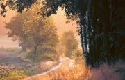 a painting of a road with trees in the background at Hotel Landgut Ochsenkopf in Rotta