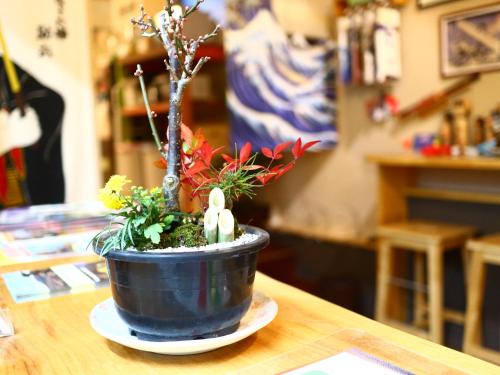 a bonsai tree in a blue pot on a table at ホステル富士山 結 in Fujiyoshida