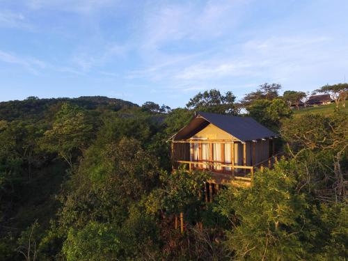 une cabane dans les arbres au milieu d'une forêt dans l'établissement Muluwa Lodge, à White River