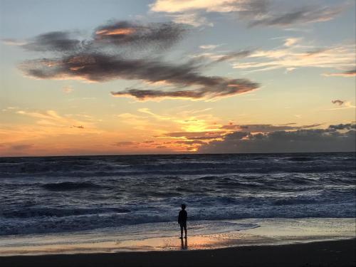a person standing on the beach watching the ocean at Le Esperidi Camping Ecoresort in Marina di Bibbona