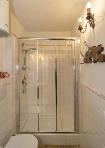 a bathroom with a shower with a toilet in it at B&B due Borghi 3 in Pisa
