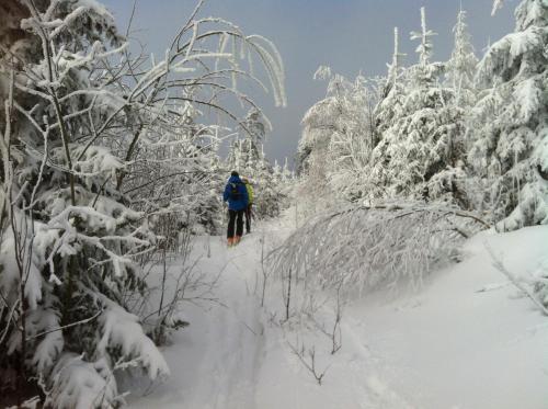 a person cross country skiing through the snow covered trees at Gasthof Waldschenke in Bad Leonfelden