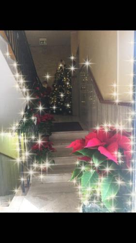 a christmas tree in a room with a christmas tree at Hotel Chic in SantʼAntimo