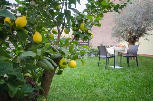 two chairs and a table and a lemon tree at Corte Maggiore in Ravenna