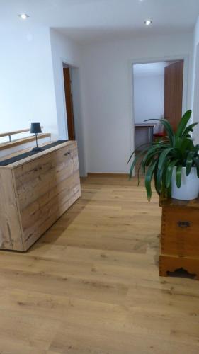 a room with a desk and a potted plant at Haus Rosi in Uttendorf