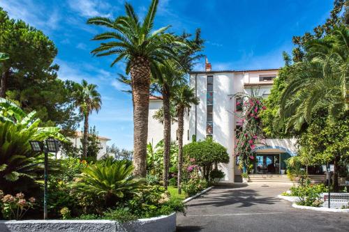 a palm tree in front of a building at Hotel Poseidon in Diamante