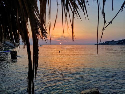 Fotografie z fotogalerie ubytování Casa Mila apartments & bungalows v destinaci Ulcinj