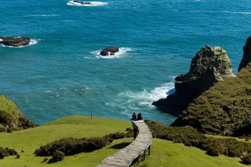 a group of people standing on a boardwalk overlooking the ocean at Refugia Chiloé in San José