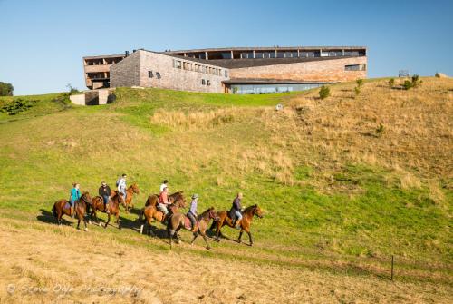 a group of people riding horses on a hill at Refugia Chiloé in San José