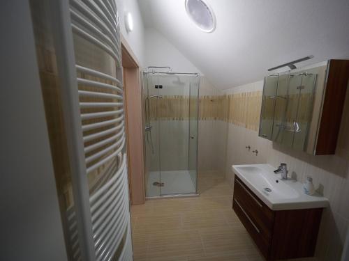 a bathroom with a shower and a sink at Bioweingut Schmidl in Dürnstein