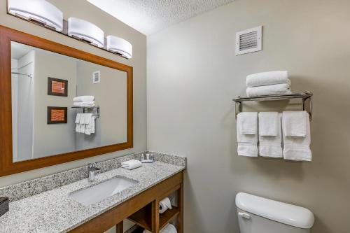 Ванная комната в Comfort Inn Altoona-Des Moines