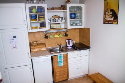 a small kitchen with white cabinets and a sink at Pension Art in Lázně Bohdaneč
