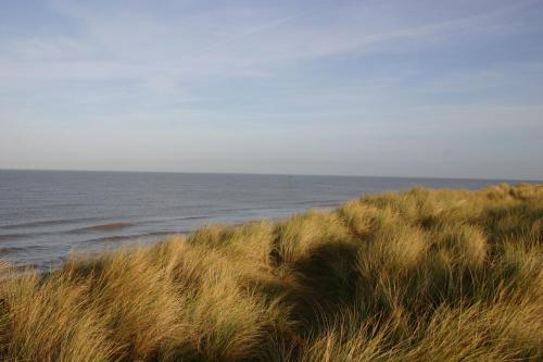 a field of tall grass next to the ocean at Beach Links in Prestatyn