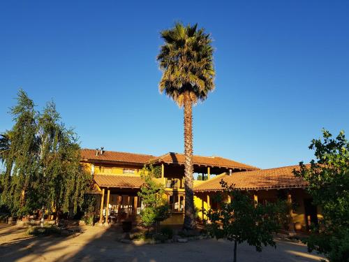 a palm tree in front of a building at Hotel Posada Colchagua in Santa Cruz