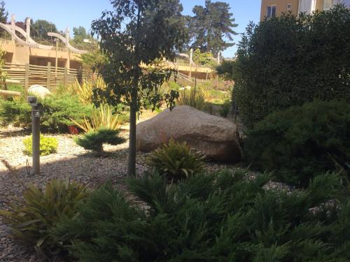Gallery image of Departamento Pinares del Canelillo in Algarrobo
