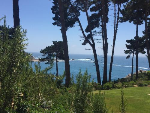 Gallery image of Departamento Pinares del Canelillo in Algarrobo