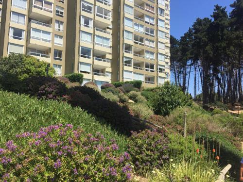 Gallery image of Departamento Pinares del Canelillo in Algarrobo