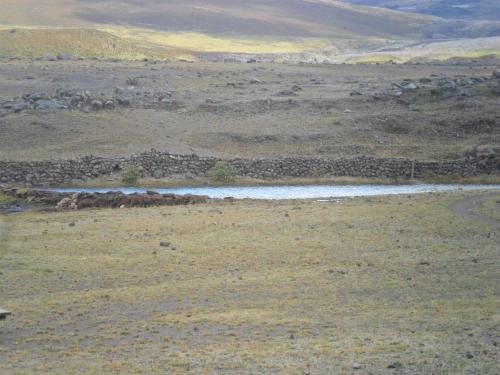 a river in the middle of a field at Hotel Tambopaxi in Machachi