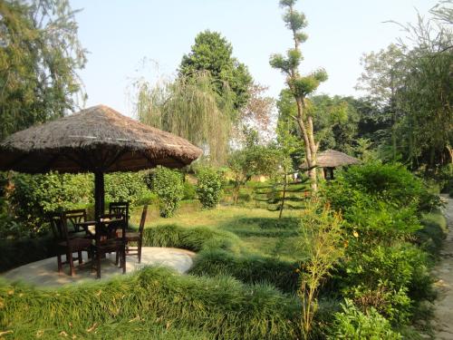 Zahrada ubytování Bardia Wildlife Resort