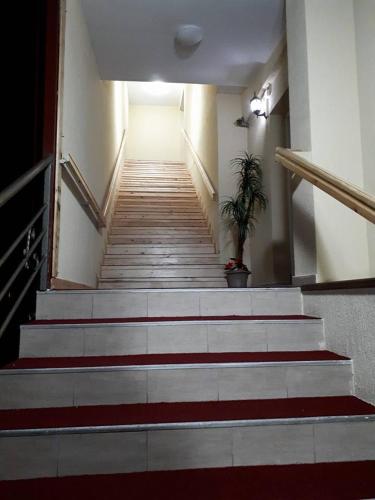 Φωτογραφία από το άλμπουμ του Hotel Panorama city σε Delčevo