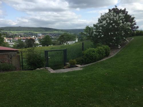 Ogród w obiekcie Ferienwohnung Am Galgenberg