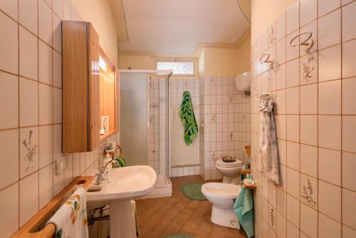 a small bathroom with a sink and a toilet at Agriturismo CaseGraziani in Ravigliano