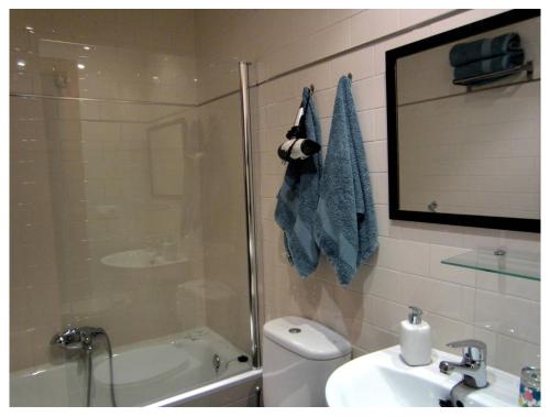 a bathroom with a shower and a toilet and a sink at Hotel Rural Latxanea in Alsasua