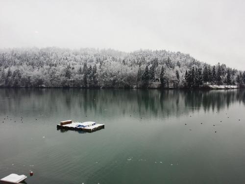 Gallery image of Gostisce Jezero in Medvode
