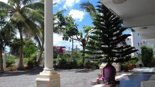 a christmas tree in a courtyard with palm trees at Alpha Villa in Flic-en-Flac