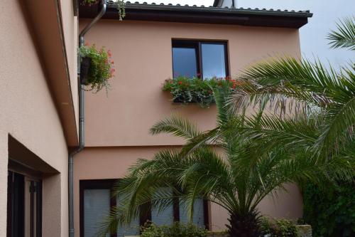 a building with potted plants on the side of it at Hotel Arte Vida OHG in Spremberg