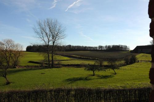 a field of green grass with trees in it at Wetterdelle in Heers