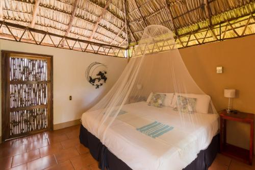 a bedroom with a bed with a mosquito net at Hotel Mariposa in León
