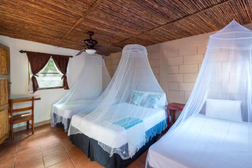 a bedroom with two beds with mosquito nets at Hotel Mariposa in León