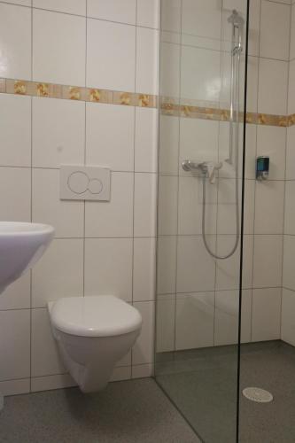 a bathroom with a shower and a toilet and a sink at Hotel Hof und Post in Innertkirchen