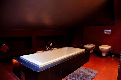 a large bathroom with a tub and a toilet at Apartamenty Pan Tadeusz Ustroń in Ustroń