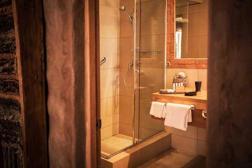 a bathroom with a shower and a glass shower stall at Noi BordeLoa in Calama