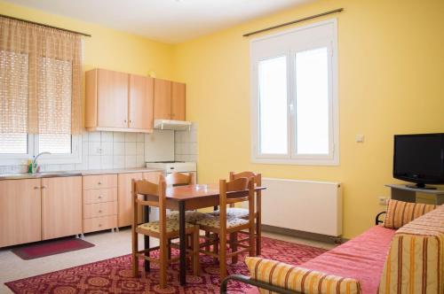 Kuchyň nebo kuchyňský kout v ubytování Manesi Apartments