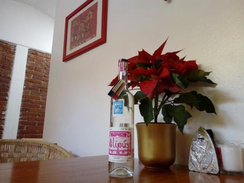 Minuman di Casa Mixteca Santo Domingo Oaxaca