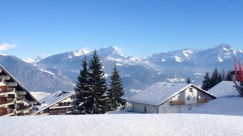 a snow covered mountain with a building in the foreground at Romantic Chalet-Style Flat with Mountain View in Torgon