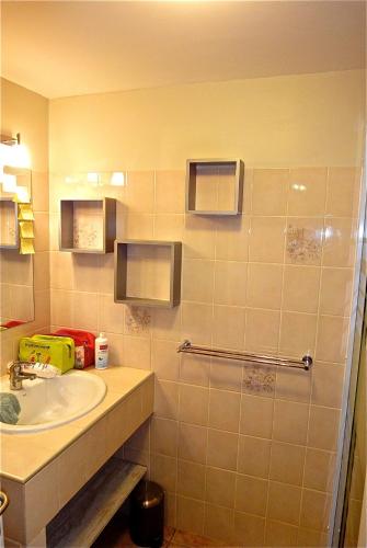 une salle de bain avec un lavabo et une douche dans l'établissement Les Lavandins-Gite Frédéric, à Saint-Rémy-de-Provence