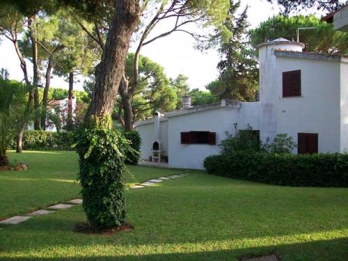 House with beautiful garden and swimming pool