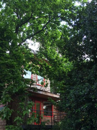 Ein Garten an der Unterkunft Almabosque Cabañas
