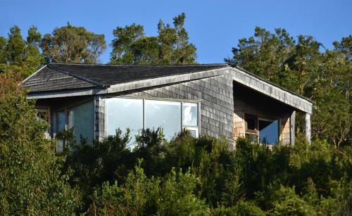 a house with a large window on top of trees at OCIO Territorial Hotel in Castro