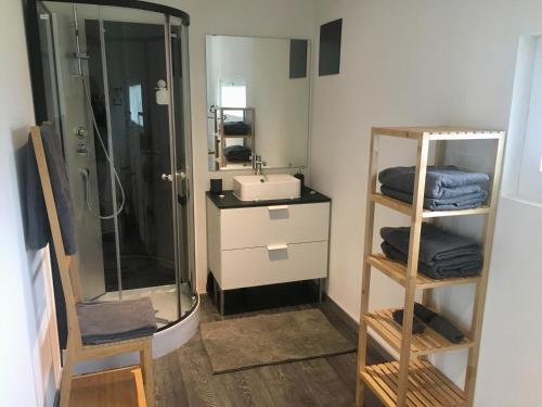 a bathroom with a shower and a sink and a toilet at Chambre d'hôtes du Guéravet in Grolley