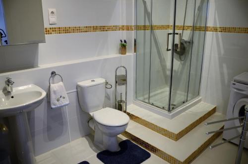 a bathroom with a shower and a toilet and a sink at Casa Marinero with Private Pool in Puerto del Rosario