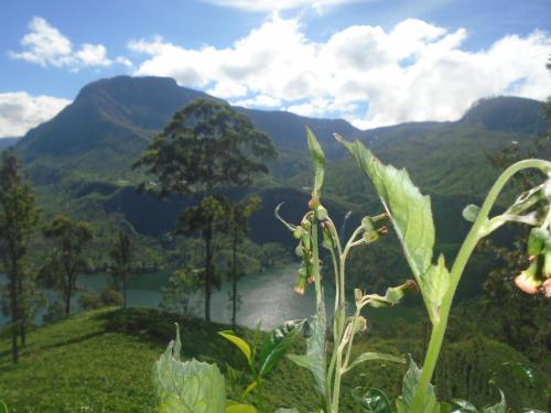 a view of a valley with a river and mountains at B.Rose House in Hatton