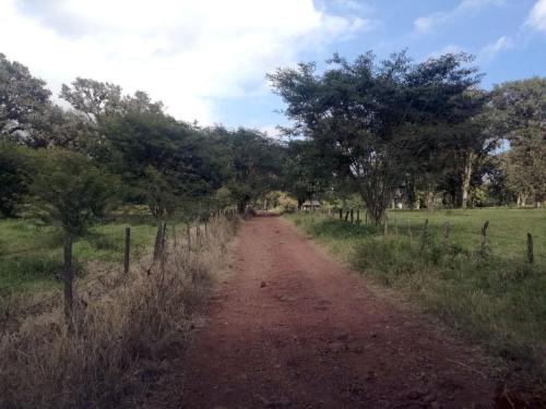 a dirt road in the middle of a field at Casa de campo vacacional "Tres Soles" en Xico, Veracruz in Xico