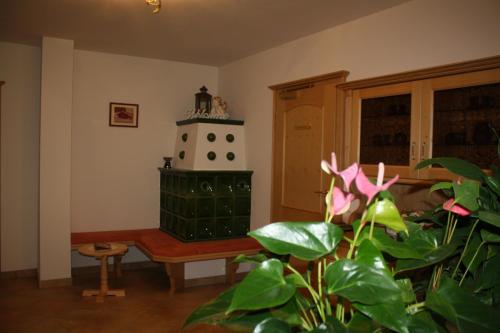 a living room with a green chair and a plant at Zimmervermietung Babsy in Zell am See